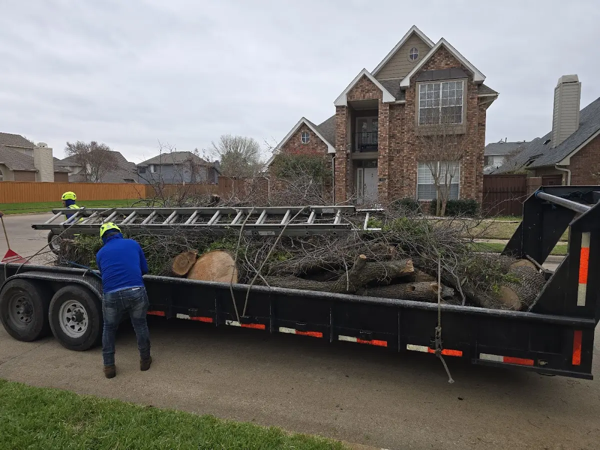Expert Tree Fertilization with proper safety equipment in Collinsville